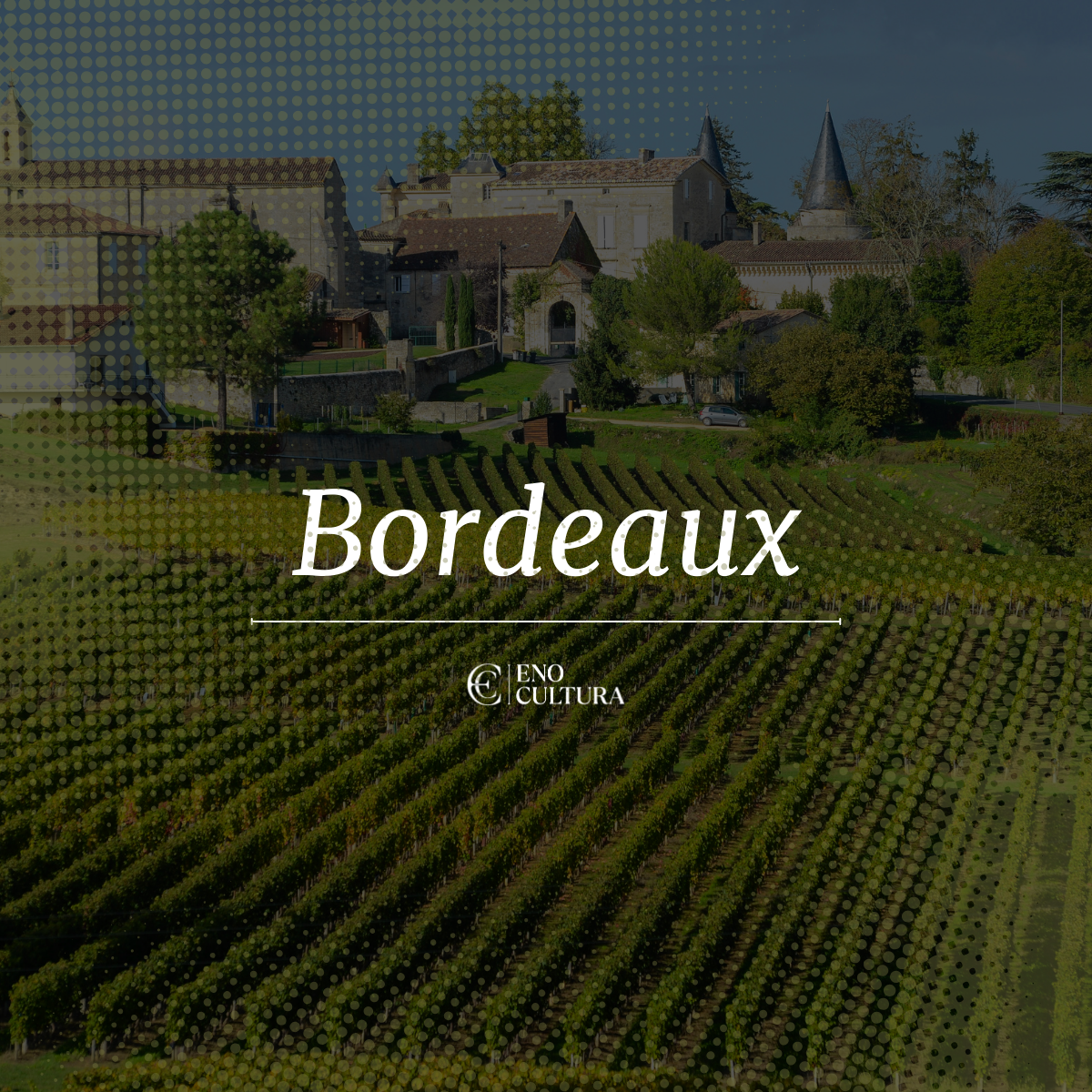 Vinhos de Bordeaux | Curso Online