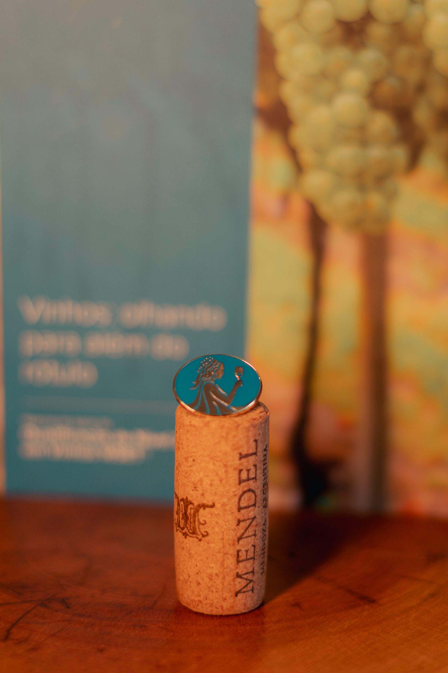 WSET | Nível 2 | Híbrido - Imagem 2